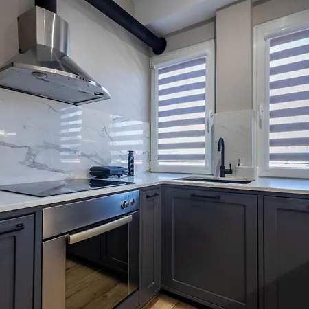 Luxury Iv Near City Center